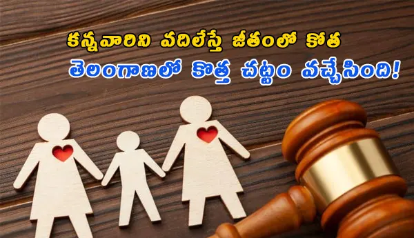 Parents Neglect Law Telangana TEAMPS 2026 Salary Cut Government Employees Cabinet Approval