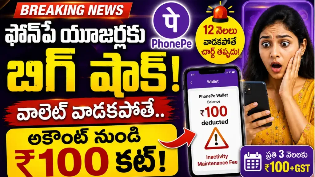 PhonePe Wallet Inactivity Maintenance Fee notification rules and penalty check.