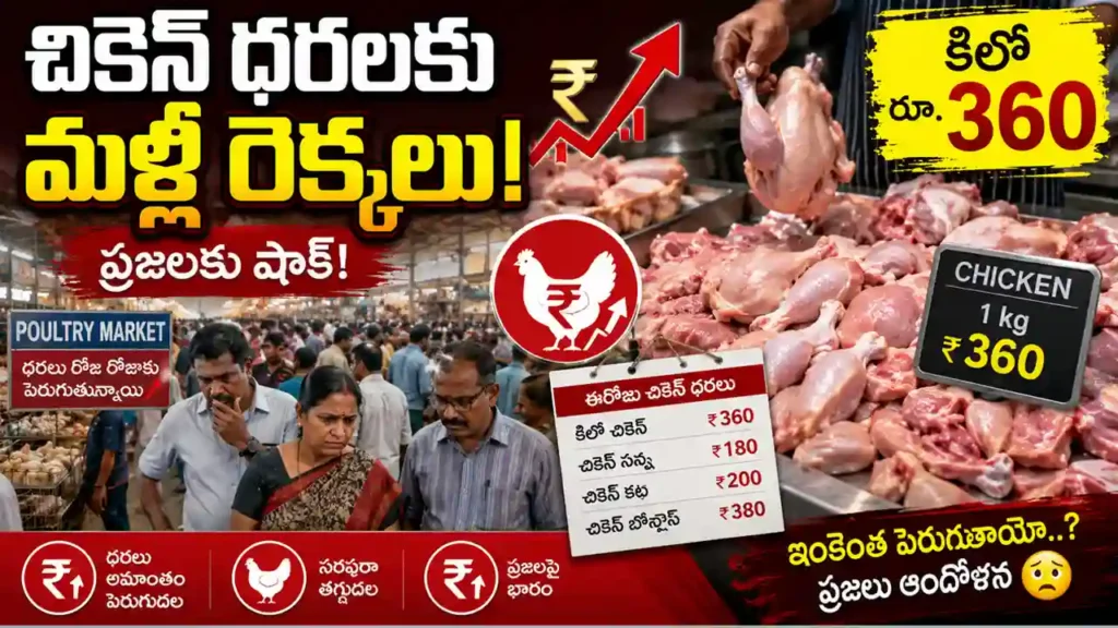 Chicken Price Today in Telangana reaches Rs 360 per kg due to rising demand and limited supply latest update