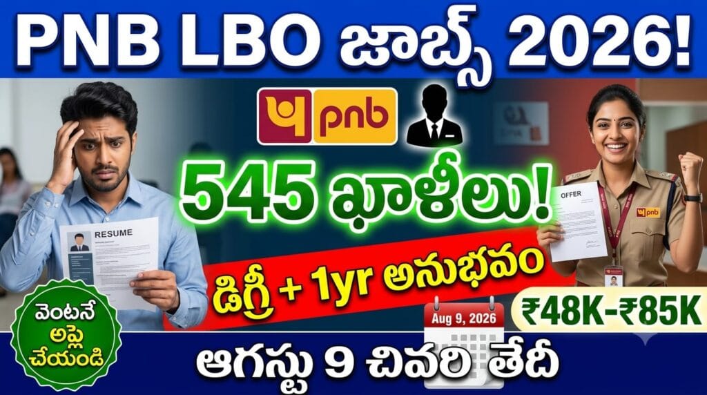 PNB IBO Recruitment 2026 – punjab national bank local bank officer 545 vacancies degree banking experience eligible apply online